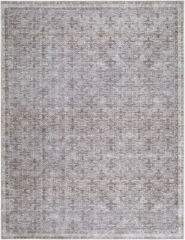 Livabliss Zafira Machine Woven Polyester Accent Rug with Traditional Pattern for Entryways Taupe, Ivory 7'10" x 10' BOZF2302-71010