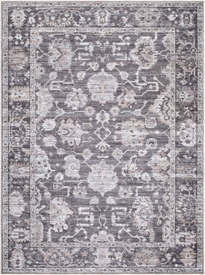 Livabliss Zafira Machine Woven Polyester Accent Rug Low Pile Traditional Pattern for Entryways Charcoal, Slat 2' x 2'11" BOZF2304-2211