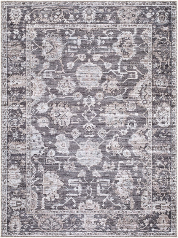Livabliss Zafira Machine Woven Polyester Accent Rug Low Pile Traditional Pattern for Entryways Charcoal, Slat 2' x 2'11" BOZF2304-2211