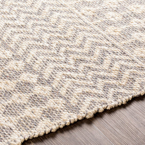 Surya Bryant Handmade Jute Area Rug 2' X 3' – Durable, Unique Global Style For Your Home Décor! Light Beige Jute,Cotton Bra2401-23