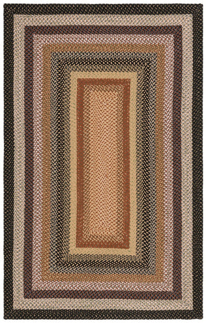 Safavieh Brd308 Hand Woven Indoor / Outdoor - Braided Rug Multi BRD308A-24HM