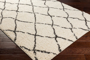 Livabliss Beni Shag Runner Rug Plush High Pile Bohemian Global Pattern for Hallways BSH2312-2773