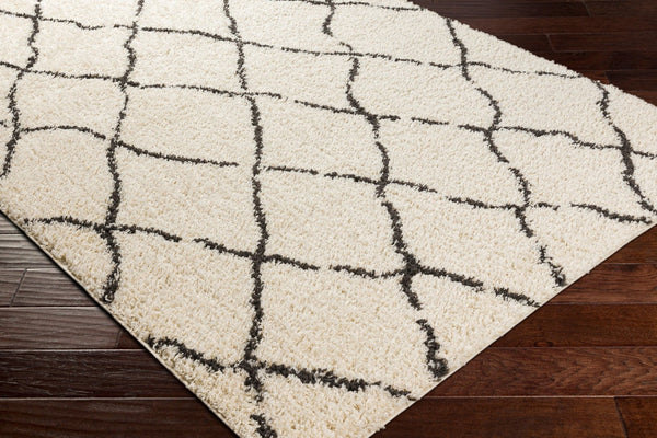 Livabliss Beni Shag Runner Rug Plush High Pile Bohemian Global Pattern for Hallways BSH2312-2773