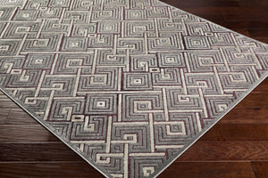 Livabliss Basilica Chenille Viscose Blend Area Rug Machine Woven Soft Low Pile Entryway Accent Gray, Light Sag 8'8" x 11'11" BSL7229-8812