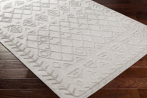 Livabliss Big Sur Global Inspired Polypropylene Area Rug Low Pile Living Room Accent BSR2300-5373