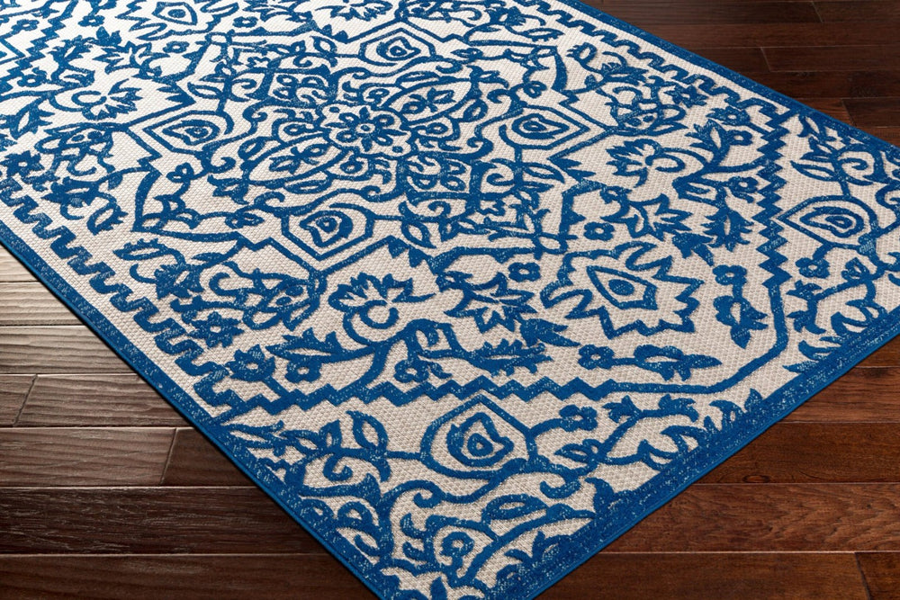 Livabliss Big Sur Cottage Style Polypropylene Woven Rug for Kitchens Porches and Cozy Nooks BSR2301-23
