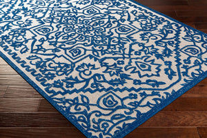 Livabliss Big Sur Cottage Style Polypropylene Woven Rug for Kitchens Porches and Cozy Nooks BSR2301-23