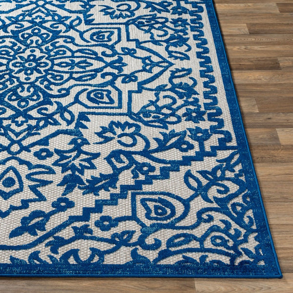Livabliss Big Sur Cottage Style Polypropylene Woven Rug for Kitchens Porches and Cozy Nooks BSR2301-23