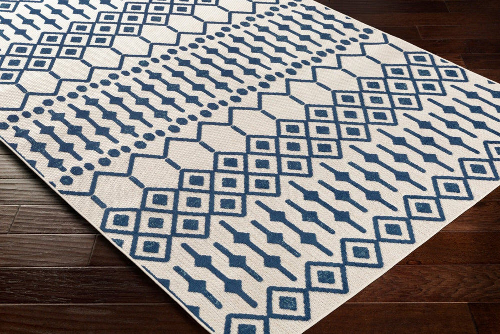 Livabliss Big Sur Global Motif Polypropylene Flat Weave Accent Rug for Entryway or Bedside BSR2308-23