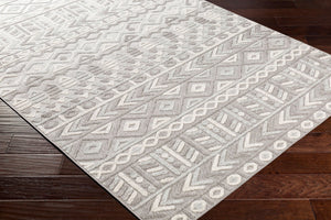 Livabliss Big Sur Global Eclectic Machine Woven Polypropylene Accent Rug for Entryway or Bedside BSR2311-23