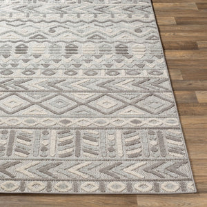 Livabliss Big Sur Global Eclectic Machine Woven Polypropylene Accent Rug for Entryway or Bedside BSR2311-23