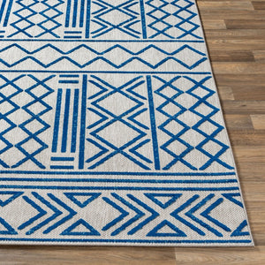 Livabliss Big Sur Machine Woven Polypropylene Rug Global Eclectic Pattern for Entryways BSR2315-23