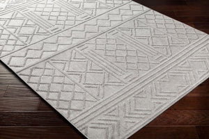 Livabliss Big Sur Global Eclectic Flatweave Polypropylene Accent Rug for Entryways and Bohemian Rooms BSR2316-23