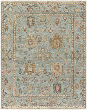 Biscayne BSY-2305 8' x 10' Handmade Rug BSY2305-810  Peach, Dusty Sage, Sage, Light Brown, Olive, Rose Surya