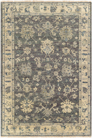 Surya Biscayne Handmade 2' X 3' Wool Rug - Luxurious Medium Pile With Fringe, Perfect For Any Room Charcoal Nz Wool Bsy2307-23