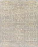 Biscayne BSY-2310 8' x 10' Handmade Rug BSY2310-810  Charcoal, Light Beige, Tan, Light Olive, Medium Gray Surya