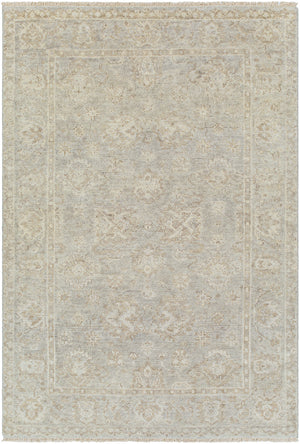 Biscayne BSY-2313 8' x 10' Handmade Rug BSY2313-810  Light Slate, Tan, Medium Gray, Light Gray Surya