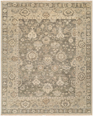 Biscayne BSY-2316 9' x 12' Handmade Rug BSY2316-912  Olive, Sage, Ivory, Brown, Light Slate Surya