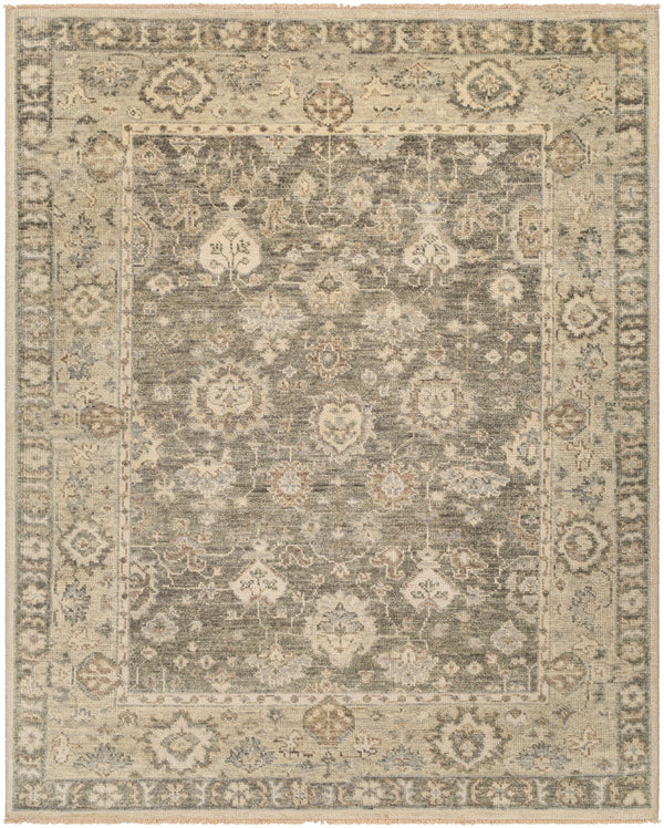 Biscayne BSY-2316 9' x 12' Handmade Rug BSY2316-912  Olive, Sage, Ivory, Brown, Light Slate Surya