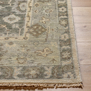 Biscayne BSY-2316 9' x 12' Handmade Rug BSY2316-912  Olive, Sage, Ivory, Brown, Light Slate Surya