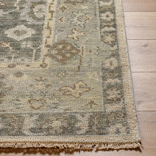 Biscayne BSY-2316 9' x 12' Handmade Rug BSY2316-912  Olive, Sage, Ivory, Brown, Light Slate Surya