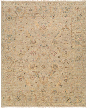 Biscayne BSY-2317 9' x 12' Handmade Rug BSY2317-912  Ivory, Taupe, Beige, Medium Brown, Mauve Surya