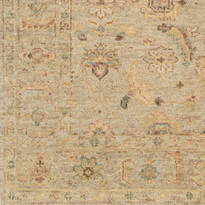 Biscayne BSY-2317 9' x 12' Handmade Rug BSY2317-912  Ivory, Taupe, Beige, Medium Brown, Mauve Surya