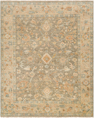 Biscayne BSY-2318 9' x 12' Handmade Rug BSY2318-912  Medium Gray, Olive, Beige, Ice Blue, Light Brown, Tan Surya