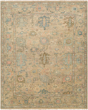Biscayne BSY-2319 9' x 12' Handmade Rug BSY2319-912  Ice Blue, Blue, Taupe, Olive, Light Beige, Dusty Pink Surya