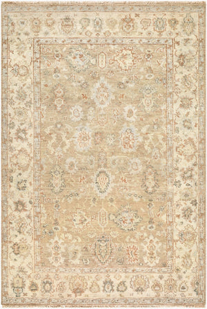 Surya Biscayne Hand-knotted Wool Area Rug Traditional Motifs for Entryways and High-traffic Rooms 2' x 3' Rectangle BSY2321-23