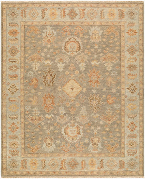 Surya Biscayne Hand Knotted Wool Area Rug Traditional Low Pile Entryway Accent India 4' x 6' Rectangle BSY2322-46