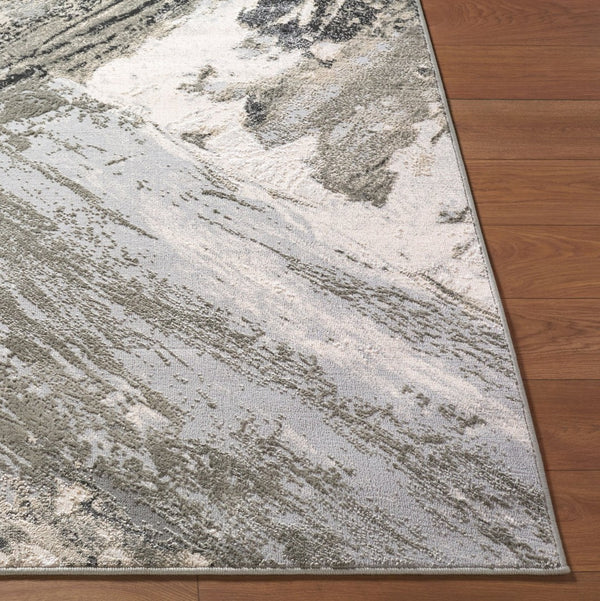 Livabliss Amman Machine Woven Polypropylene Area Rug Mid-century Modern Style for Living Rooms Charcoal, Light 7'10" x 10' BTA2304-71010