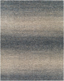 Bethesda BTD-2302 8' x 10' Handmade Rug BTD2302-810  Dark Blue, Denim, Medium Gray, Light Gray, Oatmeal Surya