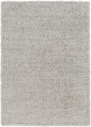 Bogota Shag BTG-2303 9'2" x 12' Machine Woven Rug BTG2303-9212 Livabliss Surya