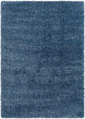 Livabliss Bogota Plush Shag Area Rug Machine Woven Polypropylene for Living Room or Bedroom BTG2308-9212