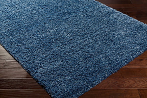 Livabliss Bogota Plush Shag Area Rug Machine Woven Polypropylene for Living Room or Bedroom BTG2308-9212