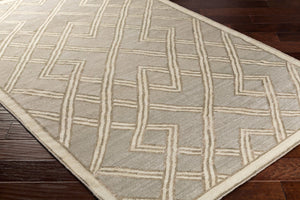Surya Brighton Btn-4000 8' X 10' Handmade Viscose Rug - Durable Modern Decor With Natural Charm & Warranty Dusty Sage Viscose Btn4001-268