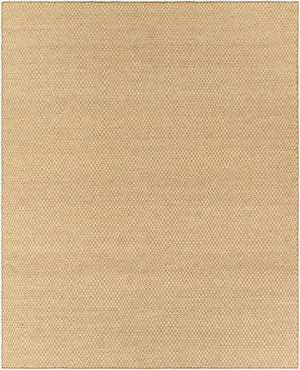Bolton BTO-2301 8' x 10' Handmade Rug BTO2301-810  Tan Surya
