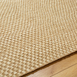 Bolton BTO-2301 9' x 12' Handmade Rug BTO2301-912  Tan Surya