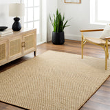 Bolton BTO-2301 9' x 12' Handmade Rug BTO2301-912  Tan Surya