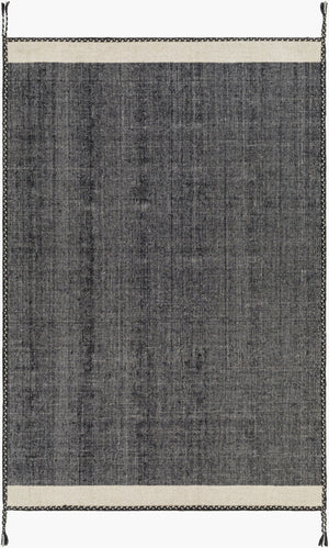 Surya Bushra 2' X 3' Hand-woven Wool Area Rug - Unique Global Style With Fringe Detail For Any Room! Beige Wool Bus2301-23