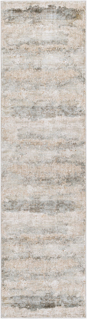 Livabliss Brunswick Geometric Mid-century Area Rug with Fringe Trim for Large Living Rooms Dusty Sage, Tau 2'7" x 10' BWK2305-2710