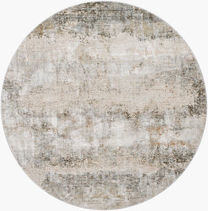 Livabliss Brunswick Geometric Mid-century Area Rug with Fringe Trim for Large Living Rooms Dusty Sage, Tau 5'3" x 5'3" BWK2305-53RD