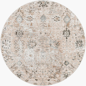 Livabliss Brunswick Traditional Fringe Area Rug Polypropylene Woven for Living and Dining Rooms Taupe, Light Be 5'3" x 5'3" BWK2311-53RD