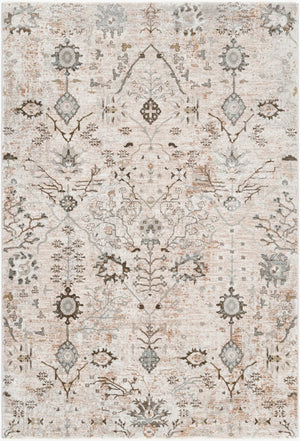Livabliss Brunswick Traditional Fringe Area Rug Polypropylene Woven for Living and Dining Rooms Taupe, Light Be 9' x 12'2" BWK2311-9122