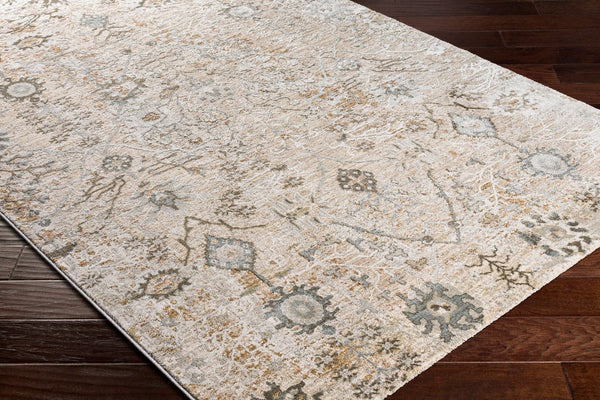 Livabliss Brunswick Traditional Fringe Area Rug Polypropylene Woven for Living and Dining Rooms Taupe, Light Be 9' x 12'2" BWK2311-9122