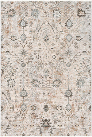 Livabliss Brunswick Traditional Fringe Area Rug Polypropylene Woven for Living and Dining Rooms Taupe, Light Be 6'7" x 9'6" BWK2311-6796