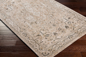 Livabliss Brunswick Traditional Fringe Area Rug Polypropylene Blend for Large Living Rooms Light Beige, Ta 5'3" x 5'3" BWK2312-53RD