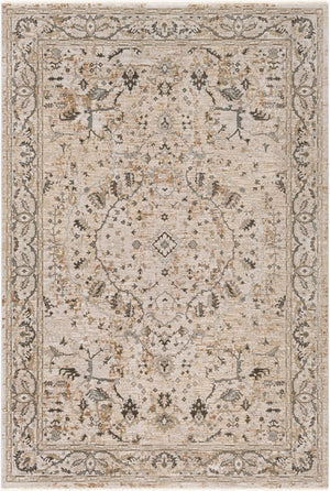 Livabliss Brunswick Traditional Fringe Area Rug Polypropylene Blend for Large Living Rooms Light Beige, Ta 6'7" x 9'6" BWK2312-6796