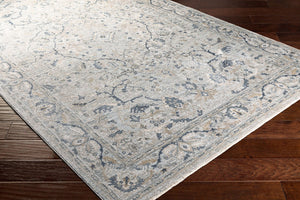 Livabliss Brunswick Traditional Fringe Area Rug Polypropylene Blend for Large Living Spaces Deep Teal, Dust 10' x 13'11" BWK2314-1014